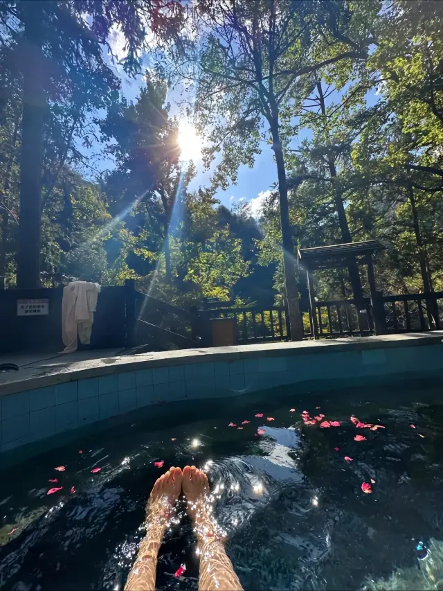 닝하이 숲 온천 리조트