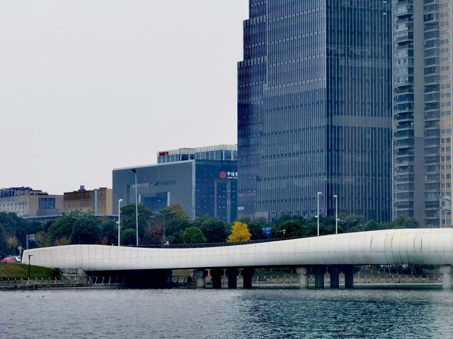 陰天無濾鏡直出，Cityride 從錦繡街到錦江邊
