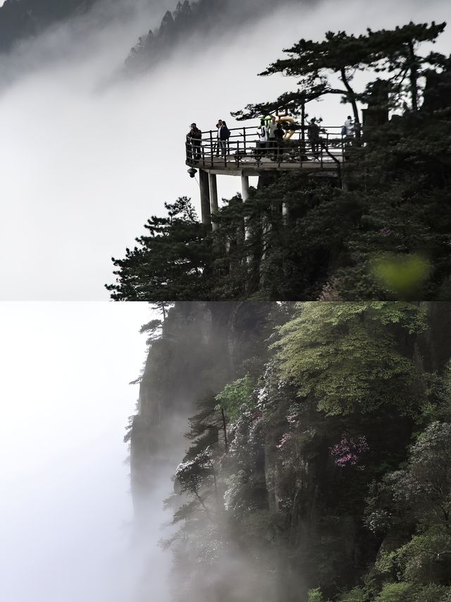 人生建議！一定要來一次羊獅慕！