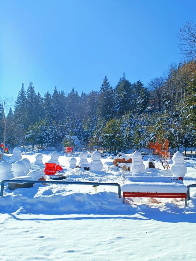對不起了雪鄉，與之相比這裡更是童話世界！