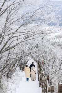 光霧山