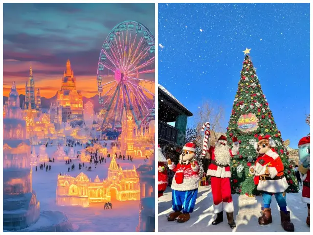 8 Must-Visit Cities in January