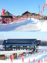 賓果戲雪王國，你一定不容錯過！！！