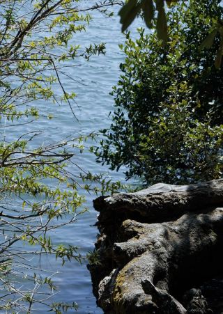 Mianyang Yi Sea Scenic Area | A great rest stop on the way from Chengdu to Xichang