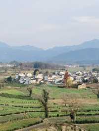 盧村遊之盧村觀景平台