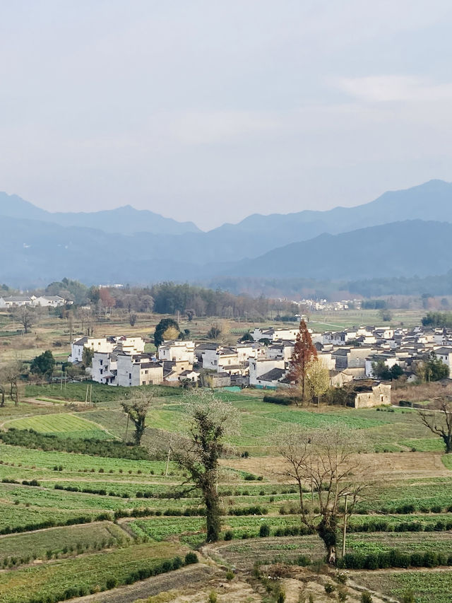 盧村遊之盧村觀景平台