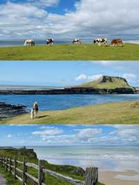 被權威蓋章的浪漫，Rhossili Bay 等你來