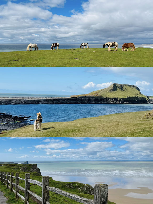 被權威蓋章的浪漫，Rhossili Bay 等你來