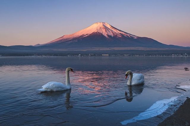 交換一張富士山的冬季照片！