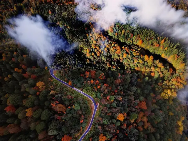 A hidden gem for snow play, it captures my heart! I love it!