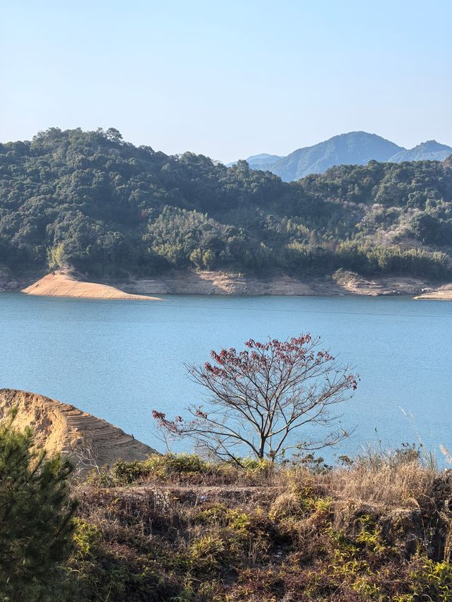 陸河南告水庫賞梅