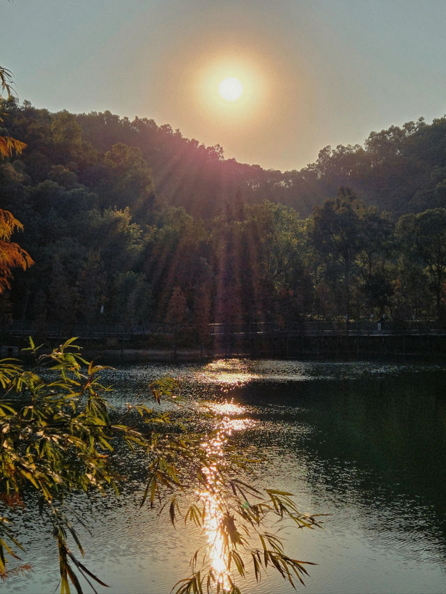 #中山金鐘湖公園：迷人湖景