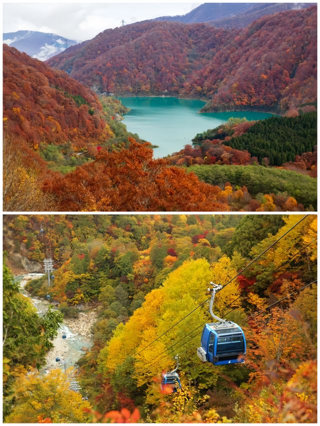 雪國夢境|新潟苗場高原龍朵拉空中纜車，開啟雲端奇遇