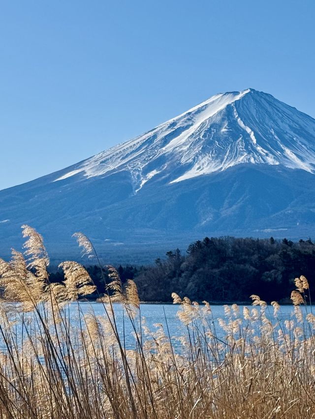 日本6日遊 真溫泉體驗別錯過