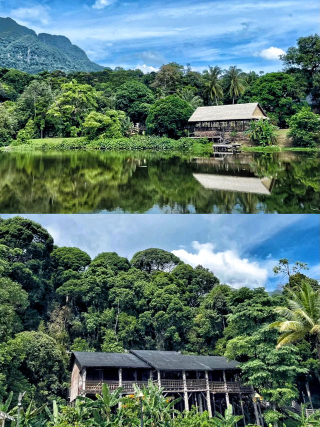 關掉美顏濾鏡沉浸式體驗砂拉越原始文化和大自然