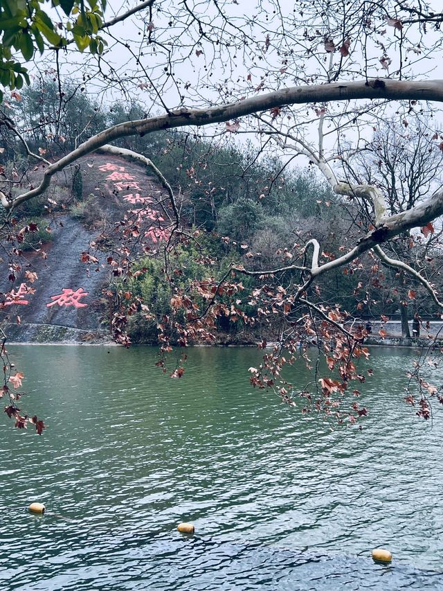 陽朔5天深度遊 超全攻略快碼住