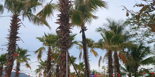 Dameisha beach 🏖 Shenzhen🌊🤩🇨🇳