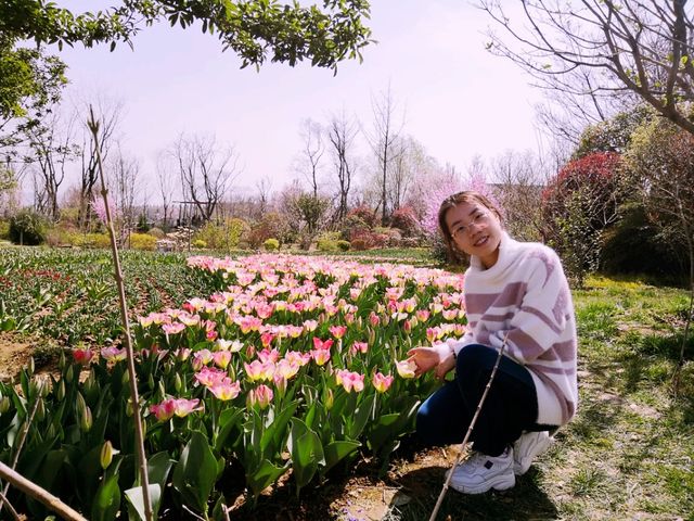 When Sping Knocks The Door: Ultimate Itinerary for Flower Bloom in Xi'An When Sping Knocks The Door: Ultimate Itinerary for Flower Bloom in Xi'An