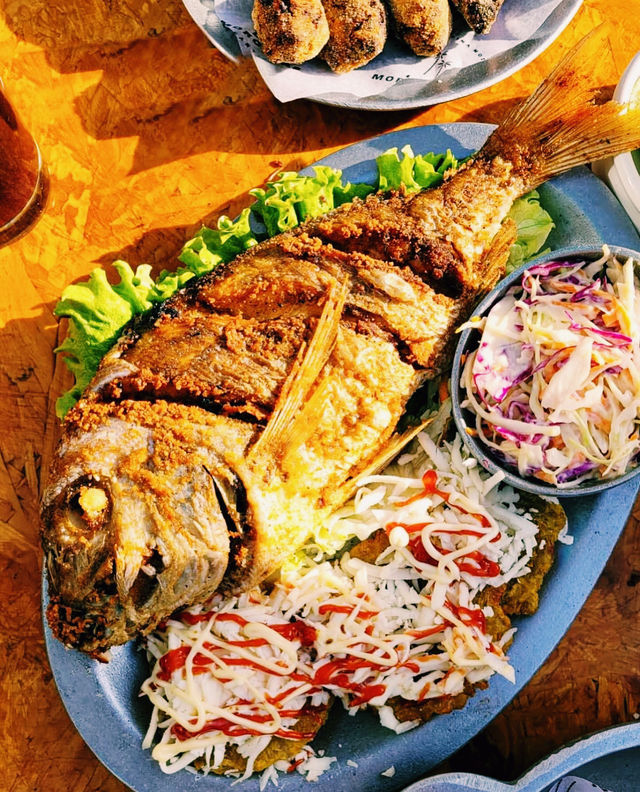 聖多明戈旅遊攻略：必去景點與美食推薦