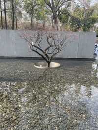 市內公園賞花小攻略