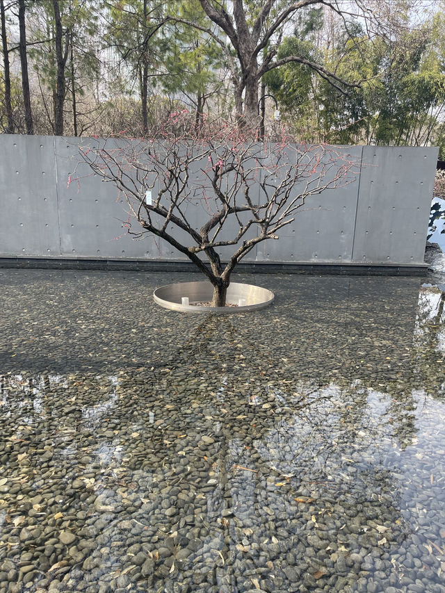 市內公園賞花小攻略