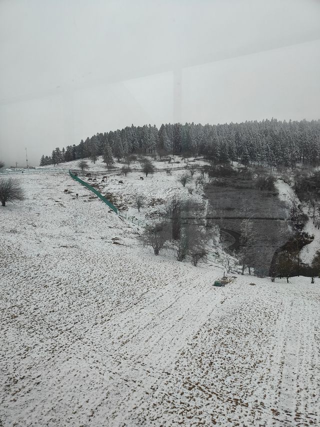 乘坐綠皮火車前往仙女山賞雪