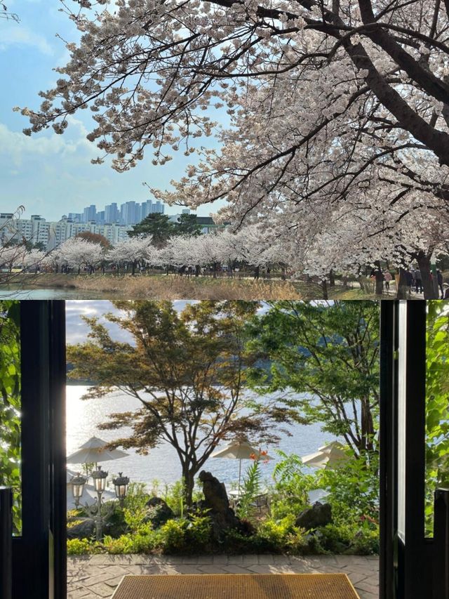韓國抱川 | 探尋小眾寶藏旅行地