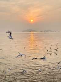 冬遊江浙滬上海-杭州-蘇州必玩指南