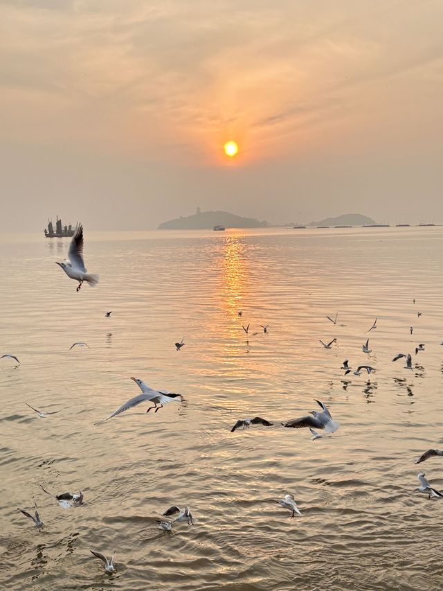 冬遊江浙滬上海-杭州-蘇州必玩指南