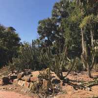 澳洲洛克咸頓植物園：大自然的綠色天堂 