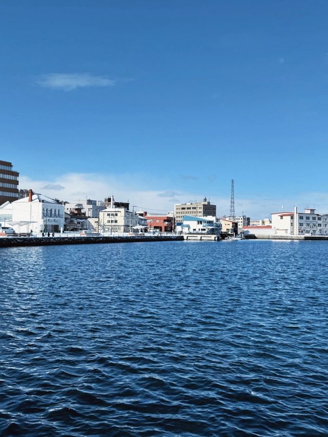 日本8日遊 超火玩法大揭秘