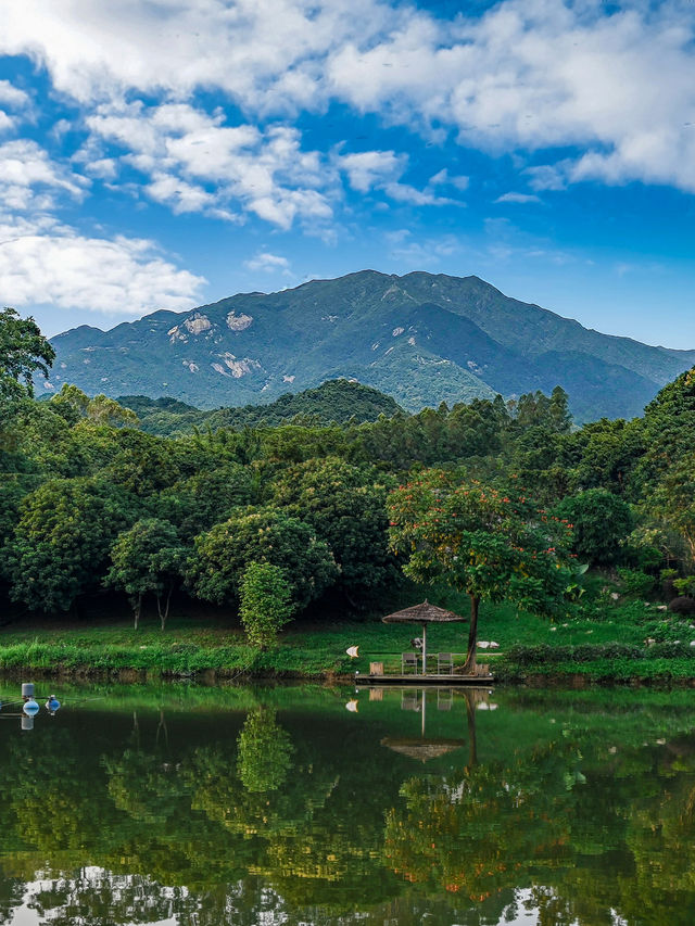 湖光山色｜藏在惠州的寶藏民宿N刷不膩