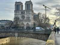 Notre-Dame Cathedral Reopens with Changes