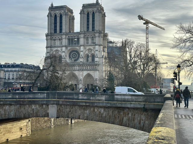 Notre-Dame Cathedral Reopens with Changes