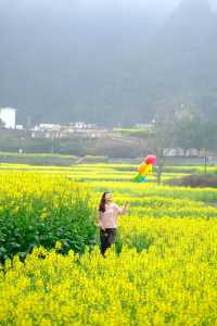 貴州萬峰林千畝油菜花