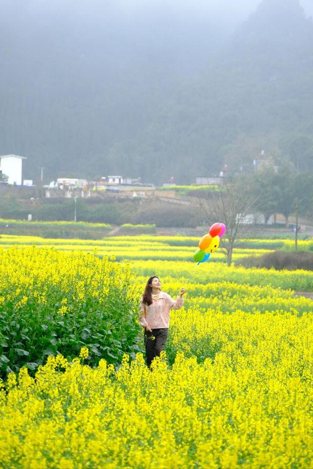 貴州萬峰林千畝油菜花