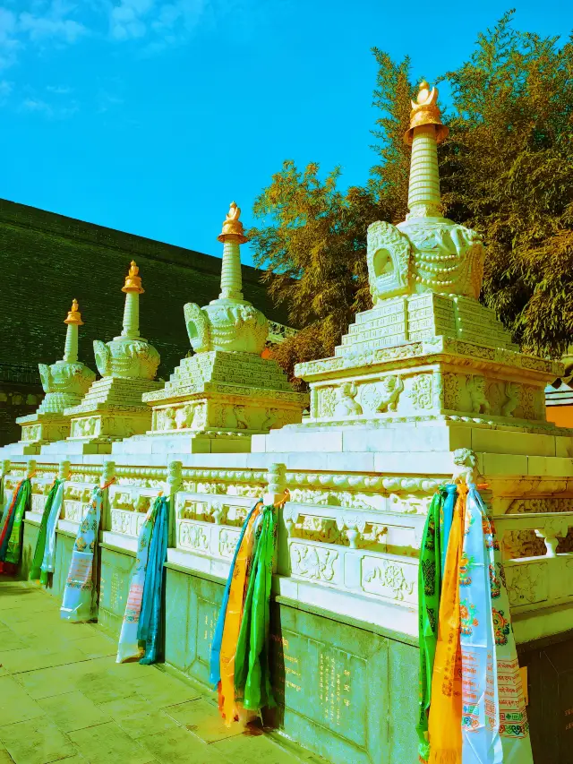 繁花落夢長安城（一）——西安·廣仁寺