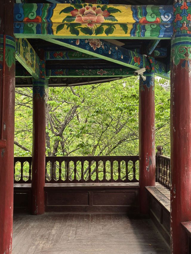 8日探索雲南昆明-大理市-麗江 森林氧吧之旅