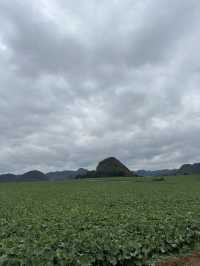 曲靖－昆明3日遊 盡享溫泉之旅輕鬆愜意