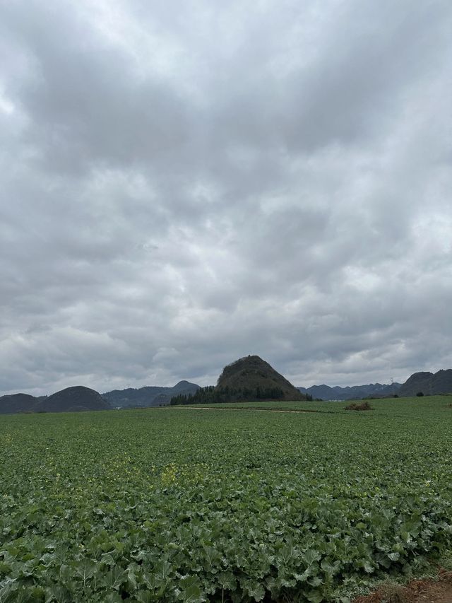 曲靖－昆明3日遊 盡享溫泉之旅輕鬆愜意