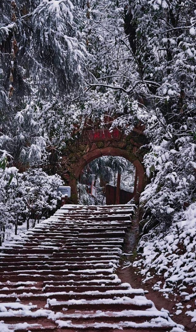 山不見我，我自去見山