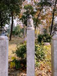 永城，這座小城藏著無數驚喜旅遊攻略來啦