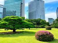 濱離宮恩賜庭園