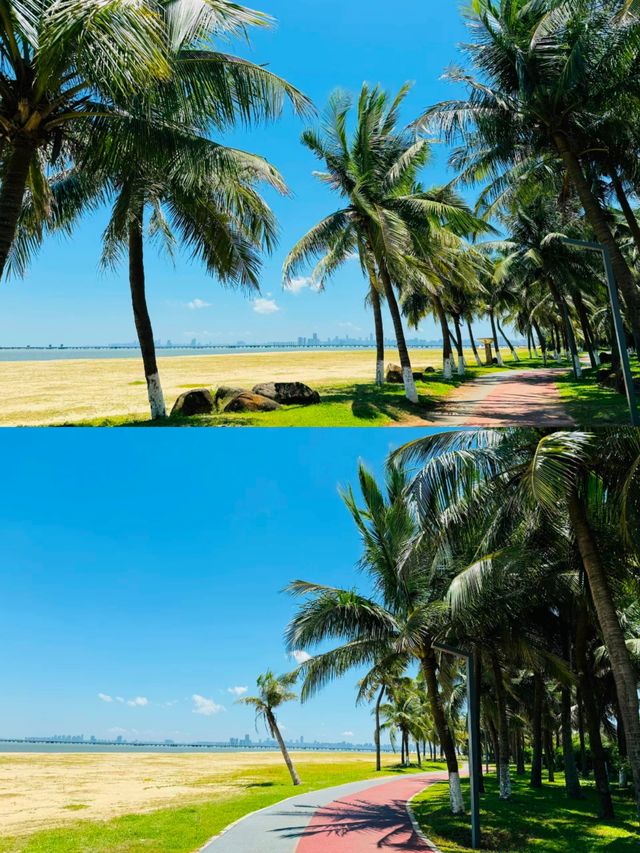 海口西海岸沙灘