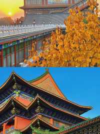 廊坊｜京津間的寶藏旅行地 超詳細攻略來襲