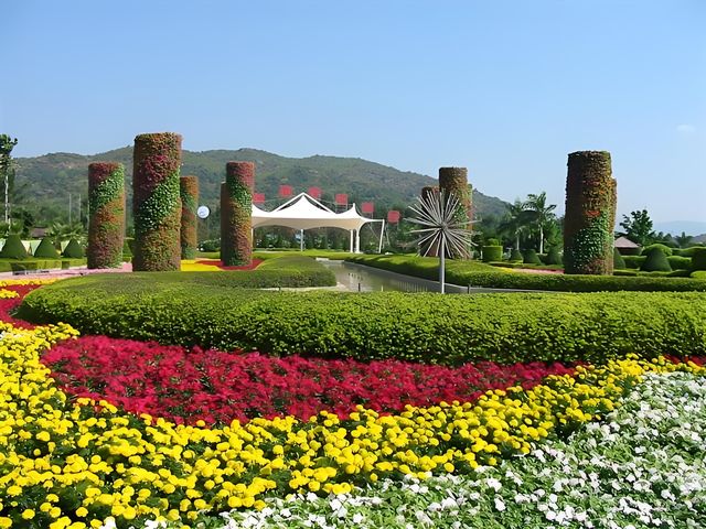 漳州花博園：花海盛宴與生態樂園的完美結合