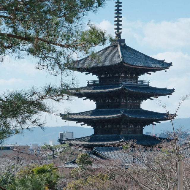京都｜高台寺 🍵