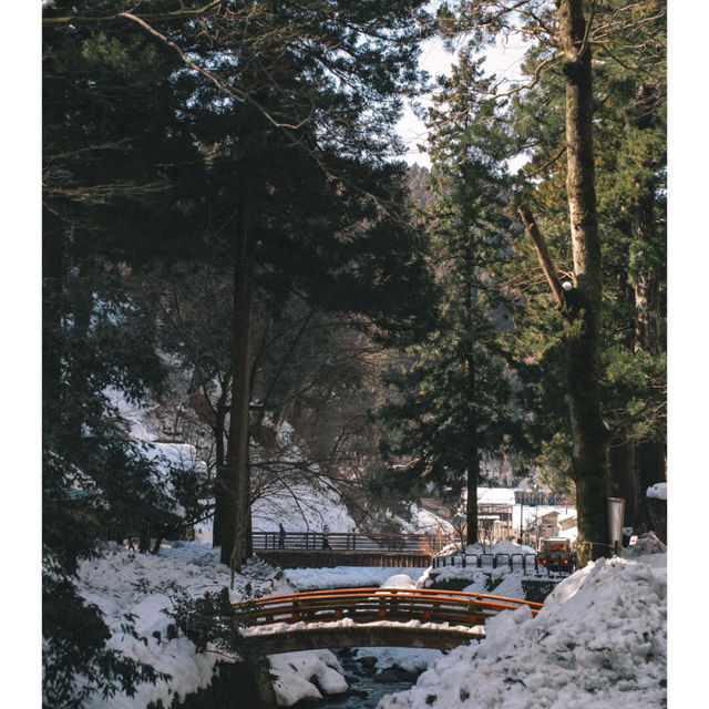 🇯🇵福井旅行｜超脱塵世永平寺