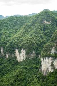 我在畢節找到一個原始森林高原峽谷秘境｜大方油杉河景區