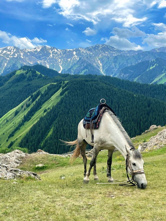 哈密-喀納斯-伊寧市 探秘自然山水的壯麗之旅